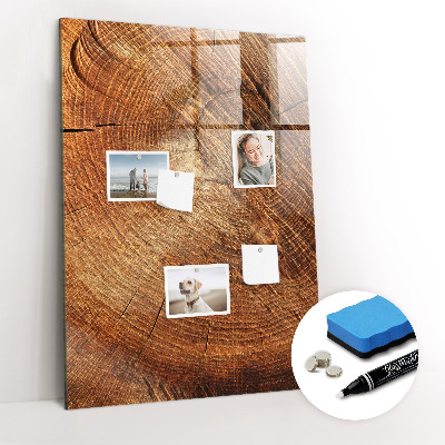 Tableau magnétique déco Coupe transversale du tronc