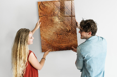 Tableau magnétique déco Coupe transversale du tronc