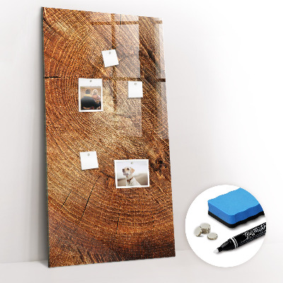 Tableau magnétique déco Coupe transversale du tronc