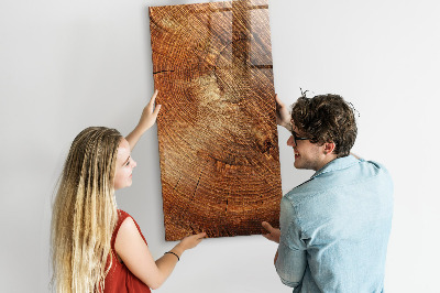 Tableau magnétique déco Coupe transversale du tronc