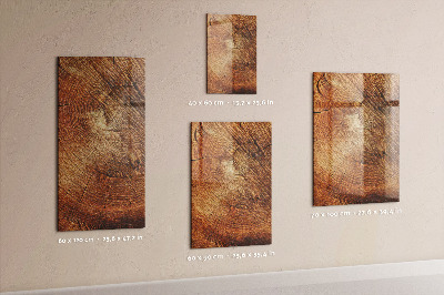 Tableau magnétique déco Coupe transversale du tronc