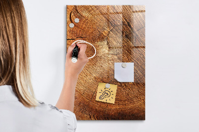 Tableau magnétique déco Coupe transversale du tronc