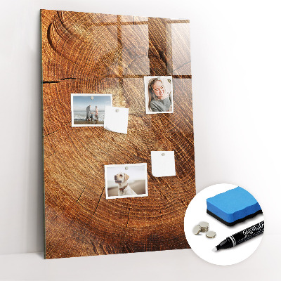 Tableau magnétique déco Coupe transversale du tronc