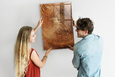 Tableau magnétique déco Coupe transversale du tronc