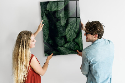 Tableau magnétique effaçable vertical Feuilles de plantes de la jungle