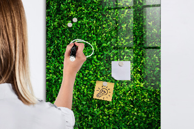 Tableau magnétique déco Feuilles de plantes de clôture
