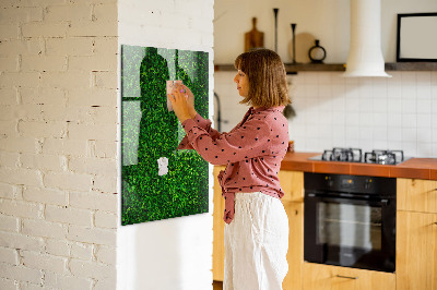 Tableau magnétique déco Feuilles de plantes de clôture