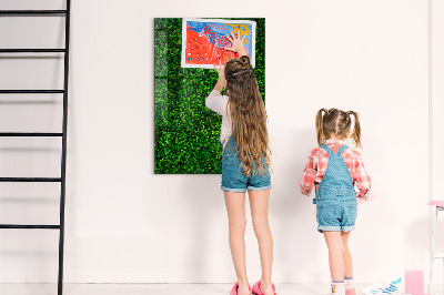 Tableau magnétique déco Feuilles de plantes de clôture