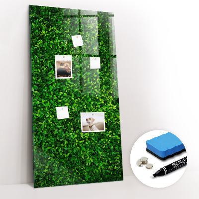 Tableau magnétique déco Feuilles de plantes de clôture