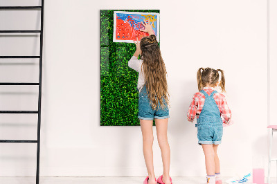 Tableau magnétique déco Feuilles de plantes de clôture