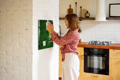 Tableau magnétique déco Feuilles de plantes de clôture