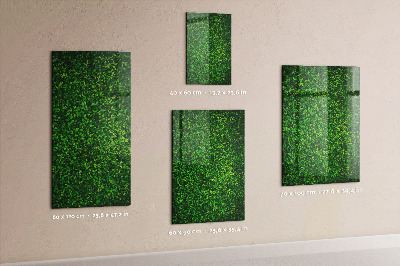 Tableau magnétique déco Feuilles de plantes de clôture