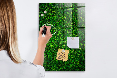 Tableau magnétique déco Feuilles de plantes de clôture