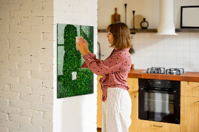 Tableau magnétique déco Feuilles de plantes de clôture