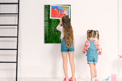 Tableau magnétique déco Feuilles de plantes de clôture