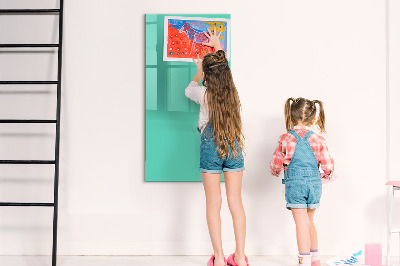 Tableau magnétique décoratif Turquoise