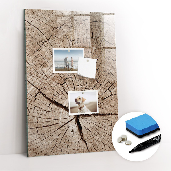 Tableau aimanté mural Coupe transversale d'un arbre