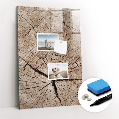 Tableau aimanté mural Coupe transversale d'un arbre