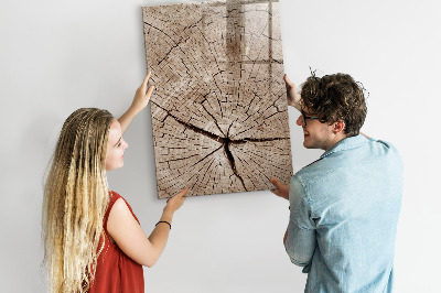 Tableau aimanté mural Coupe transversale d'un arbre