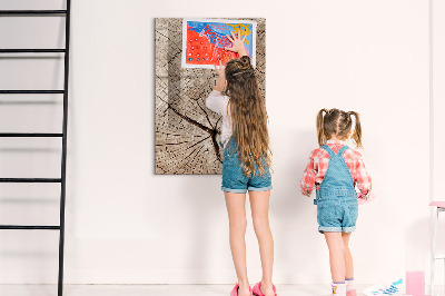 Tableau aimanté mural Coupe transversale d'un arbre