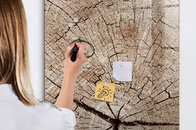 Tableau aimanté mural Coupe transversale d'un arbre