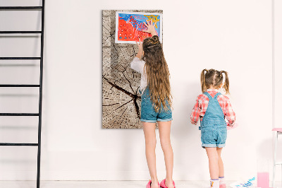 Tableau aimanté mural Coupe transversale d'un arbre