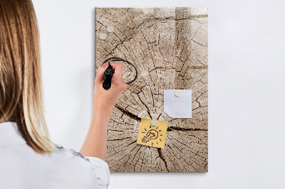 Tableau aimanté mural Coupe transversale d'un arbre