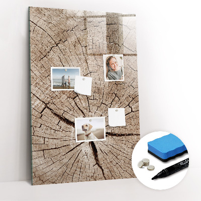 Tableau aimanté mural Coupe transversale d'un arbre