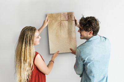 Tableau magnétique décoratif L'ombre des feuilles de palmier