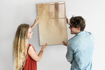 Tableau magnétique décoratif L'ombre des feuilles de palmier