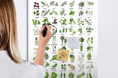 Tableau aimanté mural Légumes verts