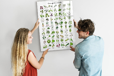 Tableau aimanté mural Légumes verts