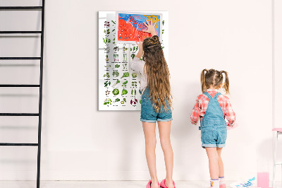 Tableau aimanté mural Légumes verts