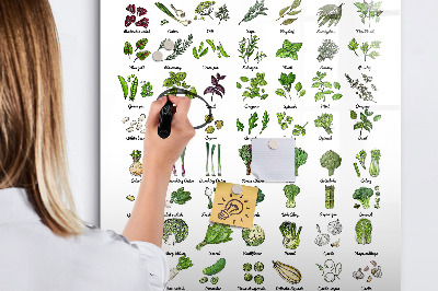 Tableau aimanté mural Légumes verts