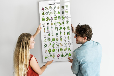 Tableau aimanté mural Légumes verts