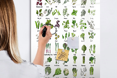 Tableau aimanté mural Légumes verts