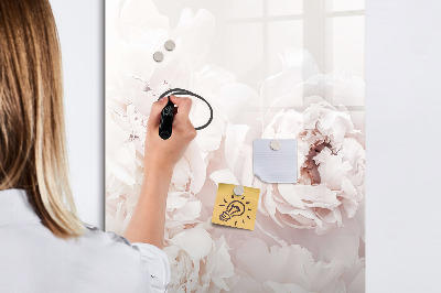 Tableau magnétique effaçable Fleurs de pivoine