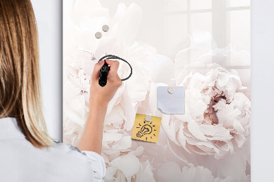 Tableau magnétique effaçable Fleurs de pivoine