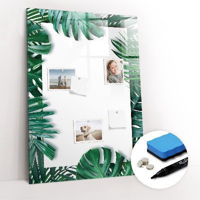 Tableau magnétique effaçable Cadre monstera
