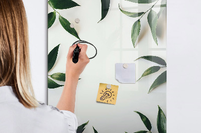 Tableau magnétique effaçable Cadre de feuille verte