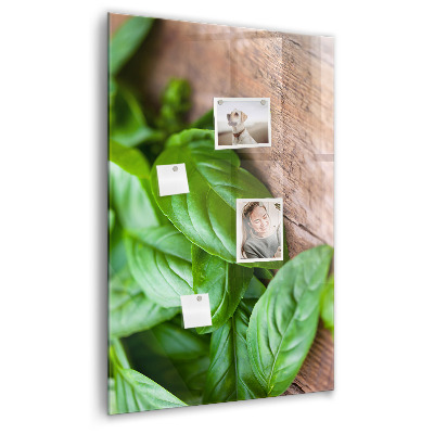 Tableau aimanté décoration feuilles de basilic