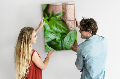 Tableau aimanté décoration feuilles de basilic