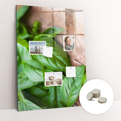Tableau aimanté décoration feuilles de basilic
