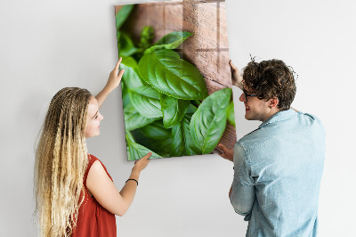 Tableau aimanté décoration feuilles de basilic