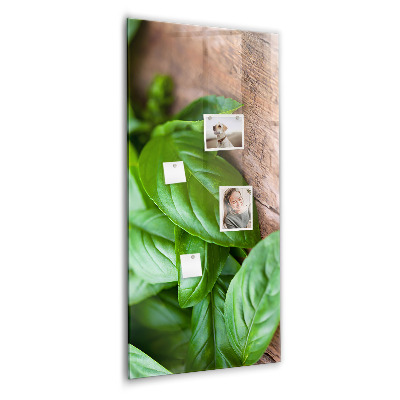Tableau aimanté décoration feuilles de basilic