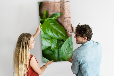 Tableau aimanté décoration feuilles de basilic