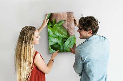Tableau aimanté décoration feuilles de basilic