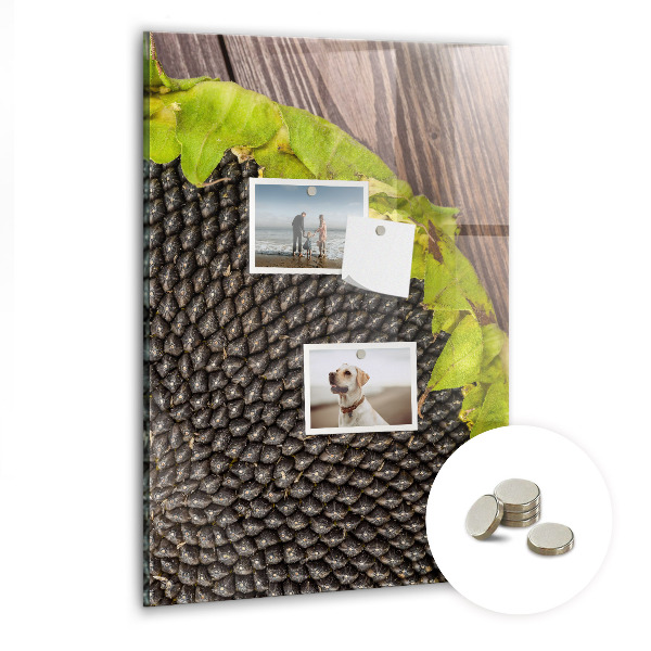 Tableau magnétique pour magnets graines de tournesol