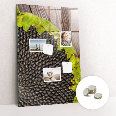 Tableau magnétique pour magnets graines de tournesol
