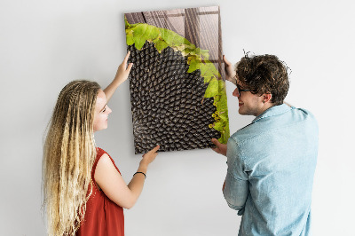 Tableau magnétique pour magnets graines de tournesol